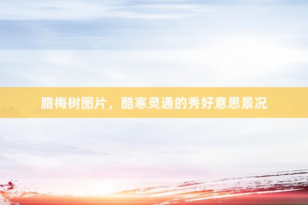 腊梅树图片，酷寒灵通的秀好意思景况